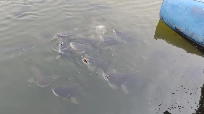 Field Trip to Ubol Ratana Dam: Exploring Thailand’s Future of Hydro–Solar Hybrid Clean Energy 4