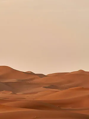 Intrinsics LEED Certificate Consultants 12